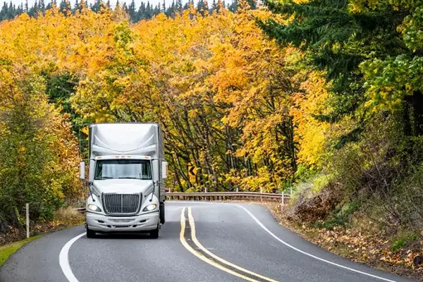 truck-m-truck-white-768x502 truck-m-truck-white-768x502